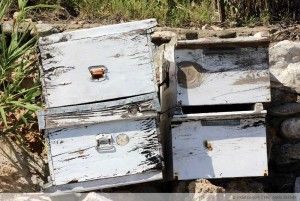 Datça Mesudiye Köyü Kızılbük